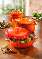 Gusseisen-Schmortopf und -Br&auml;ter 