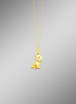 Anh&auml;nger mit Katze 