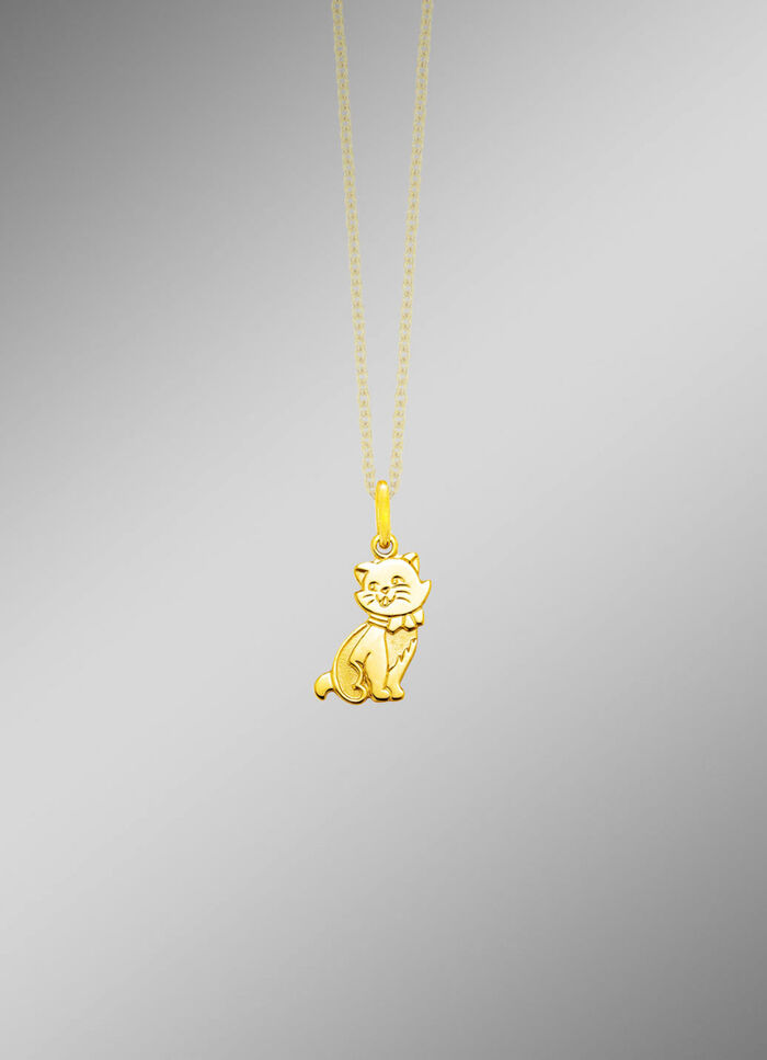 Anh&auml;nger mit Katze 