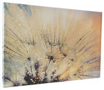 Leinwandbild mit Zertifikat 