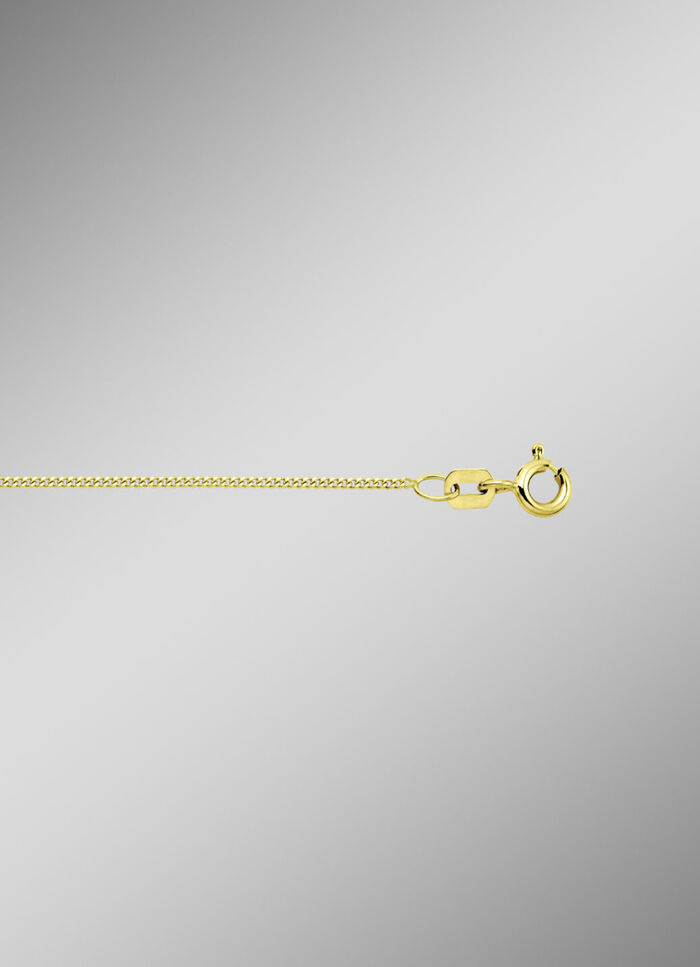 Stilvolle Flachpanzerkette aus Gold 