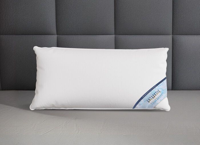 Daunenprogramm Antarktis von Spessarttraum WEISS