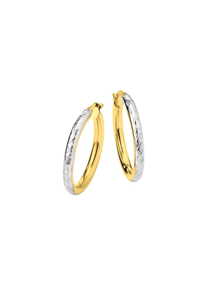 Wundersch&ouml;nen Creolen 