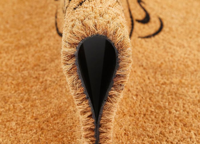 Hochwertige Kokosfußmatte 