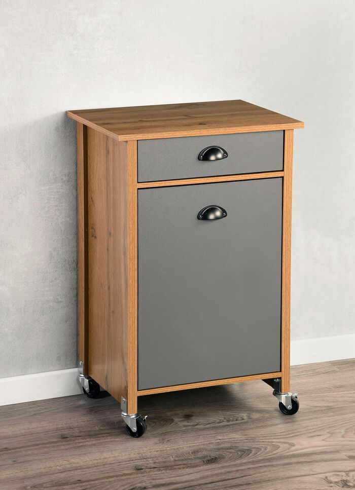 K&uuml;chenwagen mit M&uuml;lltrennsystem EICHE-GRAFIT