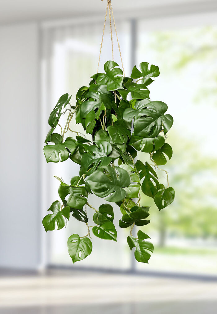 Splitphiloh&auml;nger im Topf 