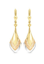 Bezaubernde Ohrringe in Tricolor 