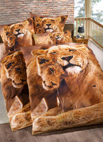 Bettw&auml;sche-Garnitur in Renforc&eacute;-Qualit&auml;t 