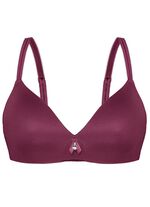 Edel schimmernder Sassa BH 