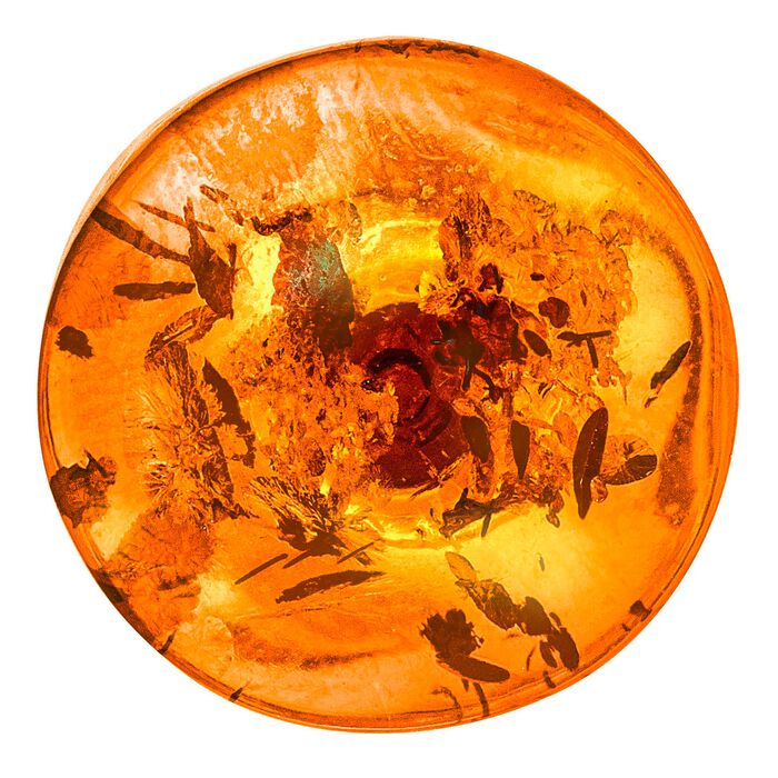 Unikate: Ohrstecker mit echtem, cognacfarbenem Bernstein 