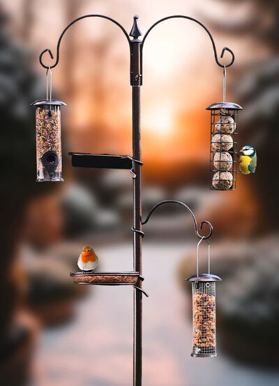 5 in 1 Vogelfutterstation 