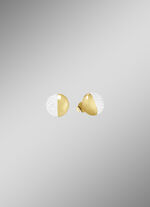 Ohrstecker in Bicolor 