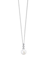 Anhänger mit Panzerkette 