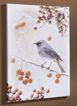 Bild Vogel des Jahres 2025 Hausrotschwanz auf Leinwand BUNT