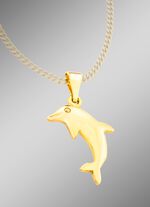 Sch&ouml;ner Delfin-Anh&auml;nger 