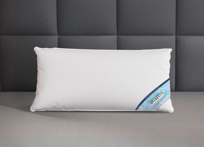 Daunenprogramm Antarktis von Spessarttraum 