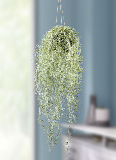 Naturgetreuer Mooshänger 