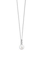 Anh&auml;nger mit Panzerkette 