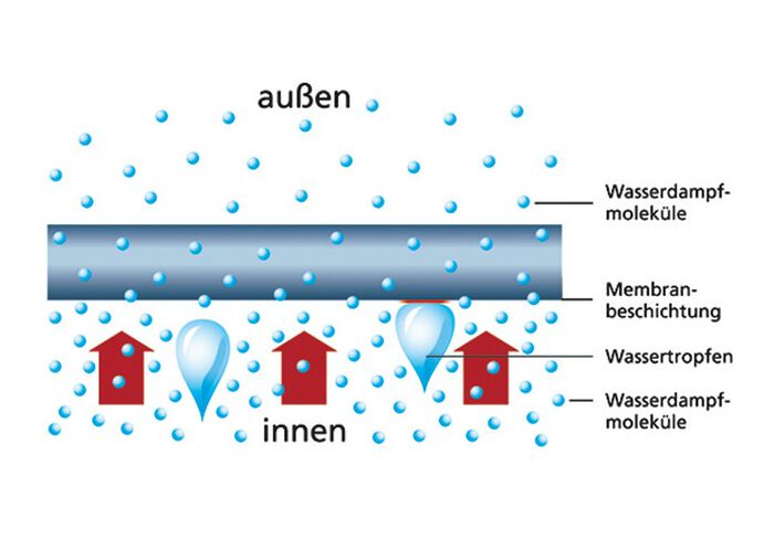 Inkontinenz-Slip für Damen und Herren 