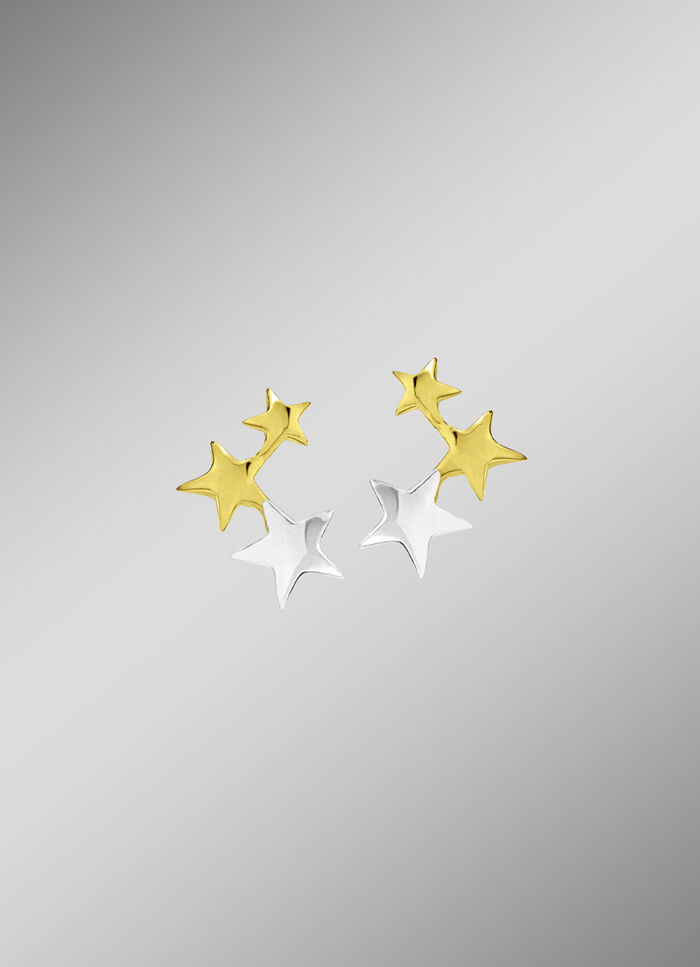 Attraktive Ohrstecker in Bicolor 