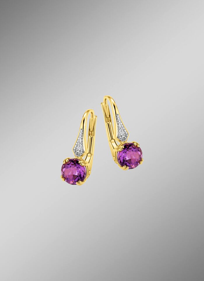 Glamour&ouml;se Ohrringe  