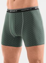 Dreierpack Pants mit Alloverdessin 