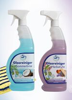 Glasreiniger-Set 