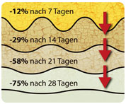 Logo_Nach7Tagen_Art37258 Logo_Nach7Tagen_Art37258